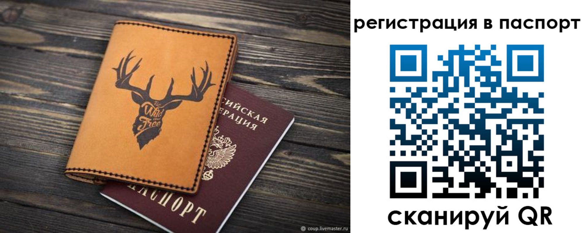прописка паспорт в Зуевке